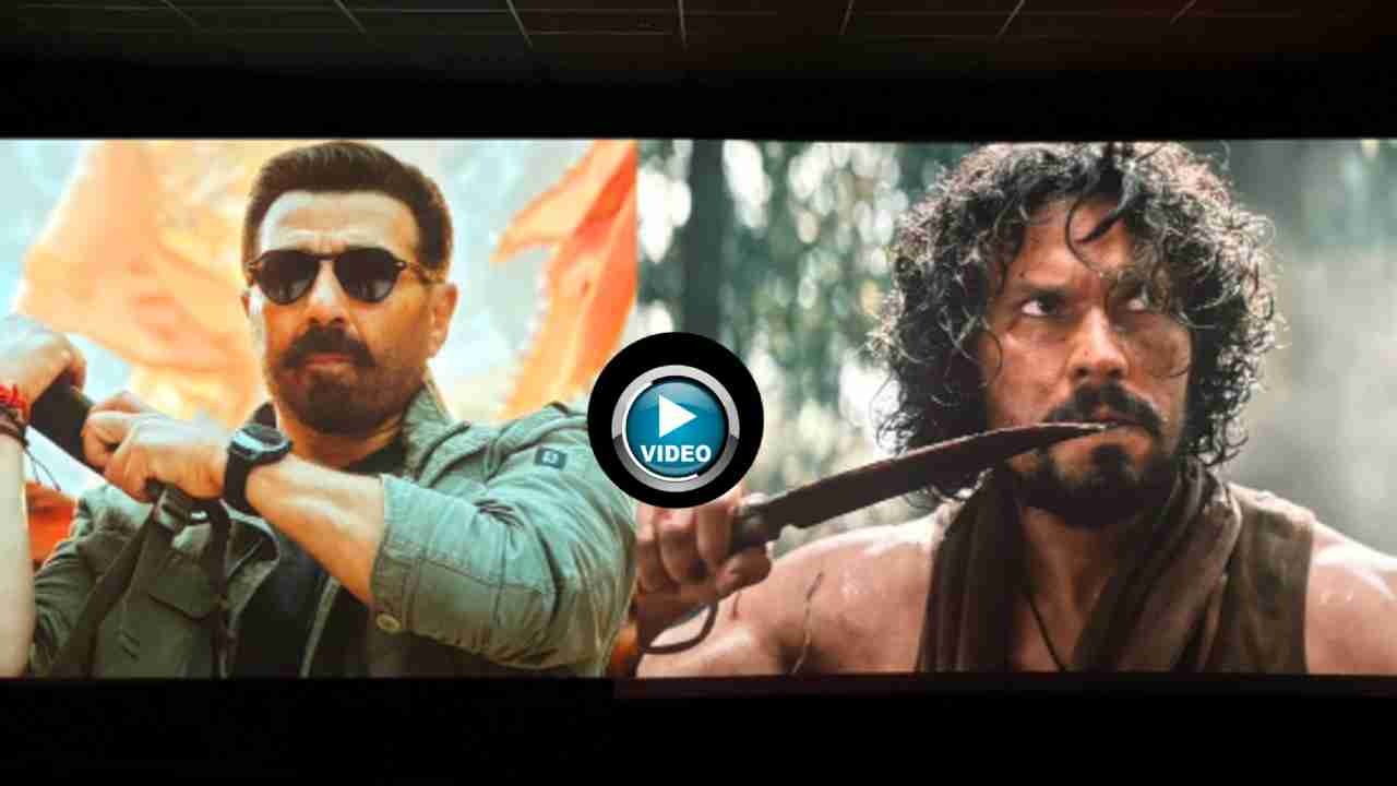 Jaat Day 13 Box Office Collection | Sunny Deol Action Film Update